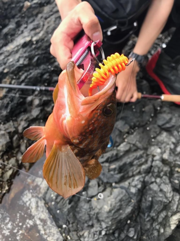 ＮＥＷガルプ！パルスワームが大活躍！