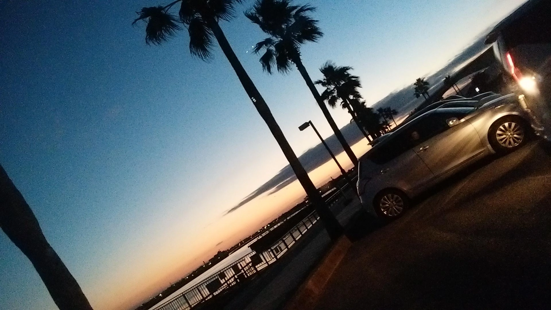 朝だ