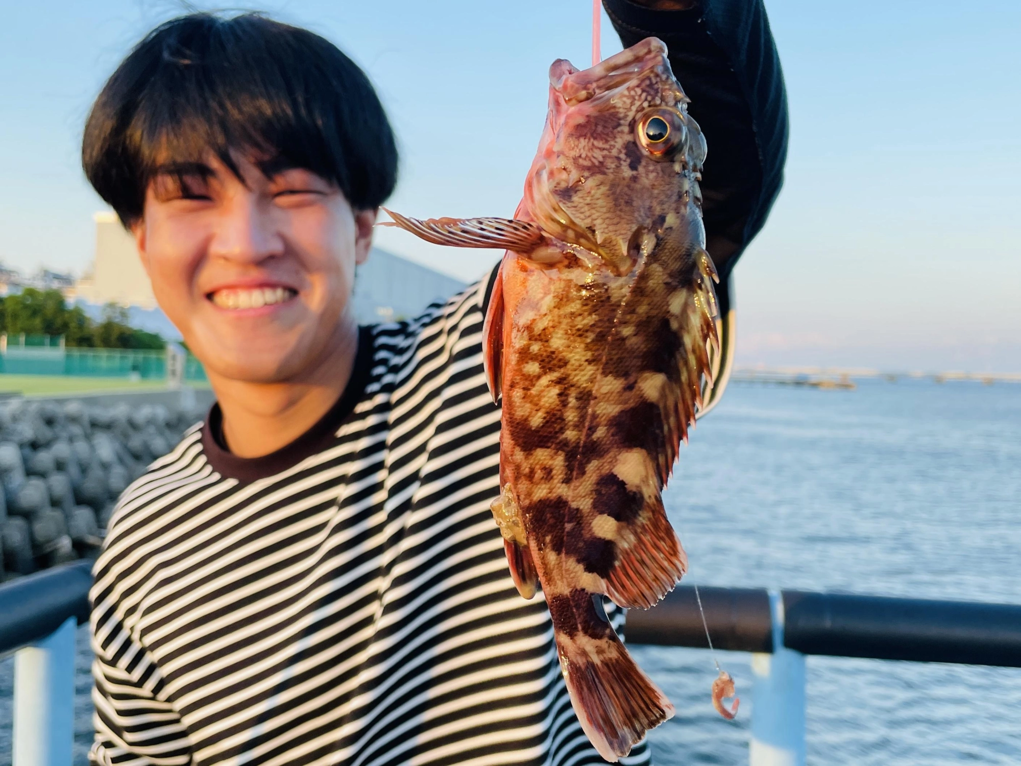 カサゴも良いサイズ！
根に潜られる前が勝負です！