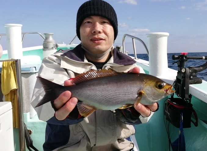 脂の乗った美味しいイサキが釣れます！