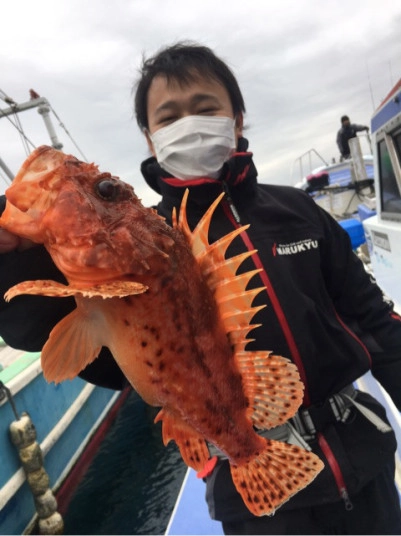 高級魚オニカサゴ！！沼津湾内で釣れております！！
