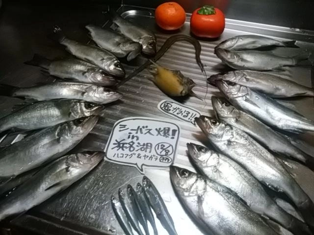 恵みに感謝申し上げる