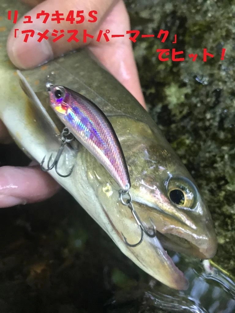 岸際の木下から飛び出てきました。