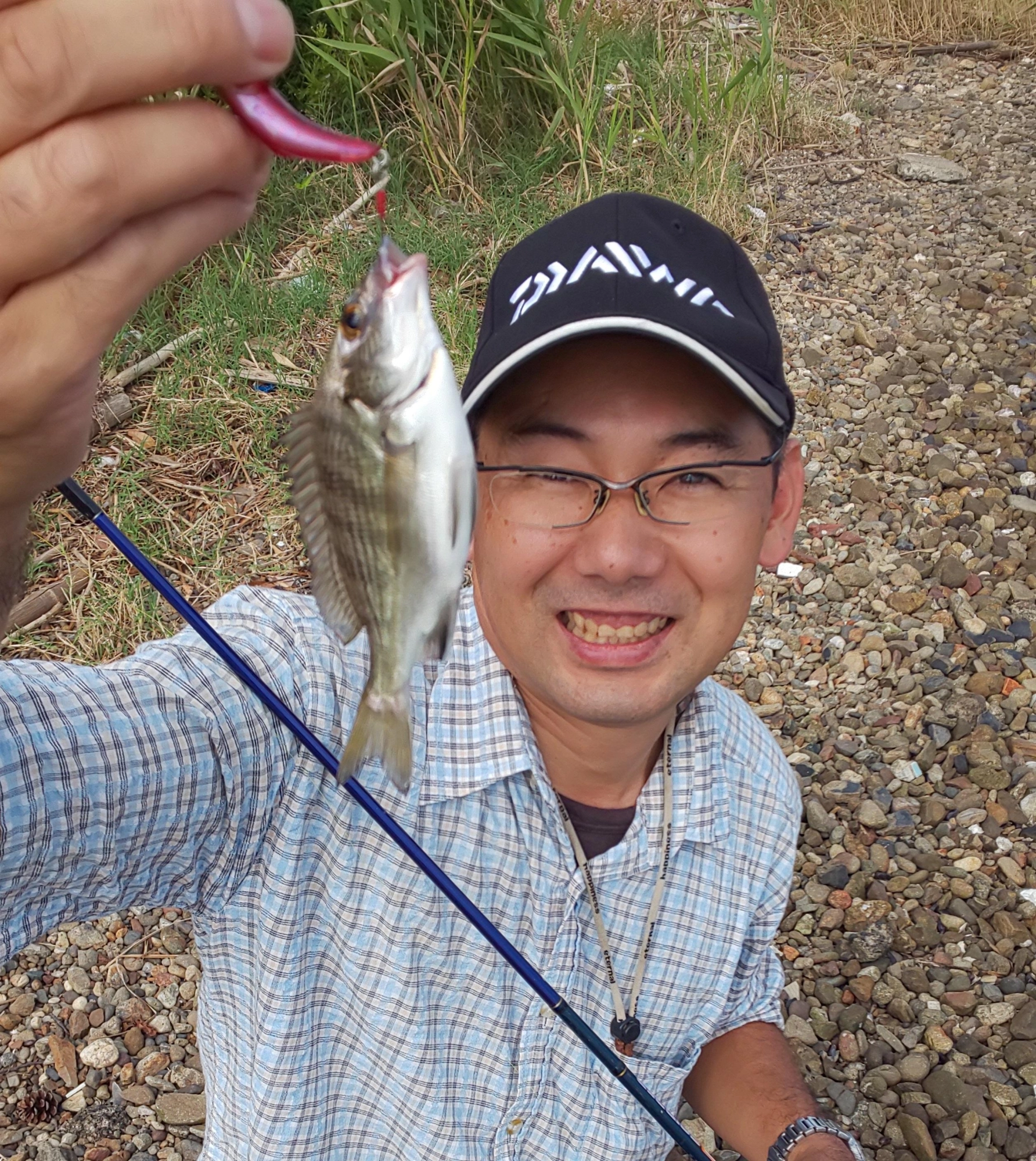 小さいですがクロダイも良型のバラシもあったのでラインは太目を巻いておいて下さい。