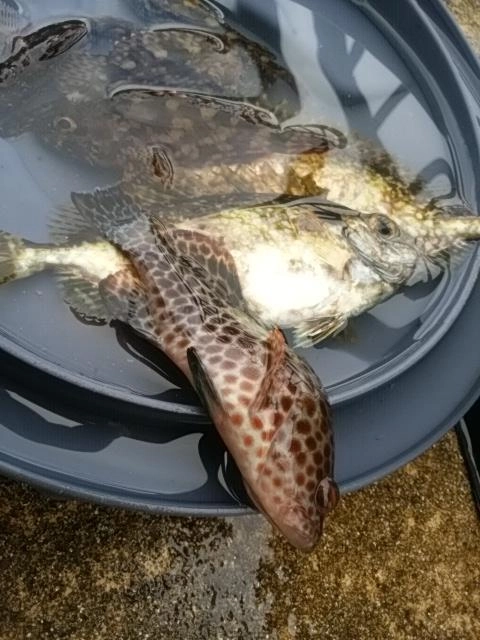 色々