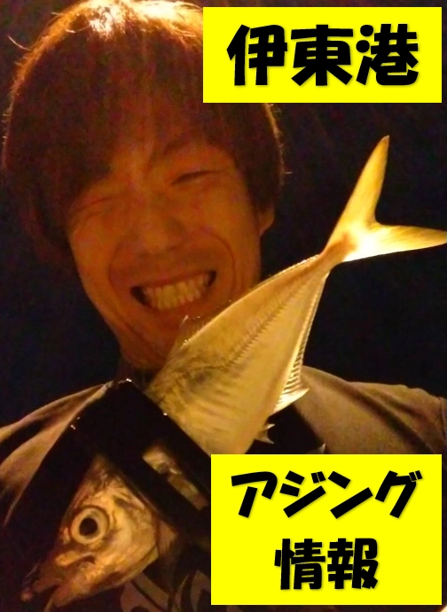 ユニチカフィールドテスター　和田様から
アジング情報！
まだまだ伊東港アジング釣れます！！