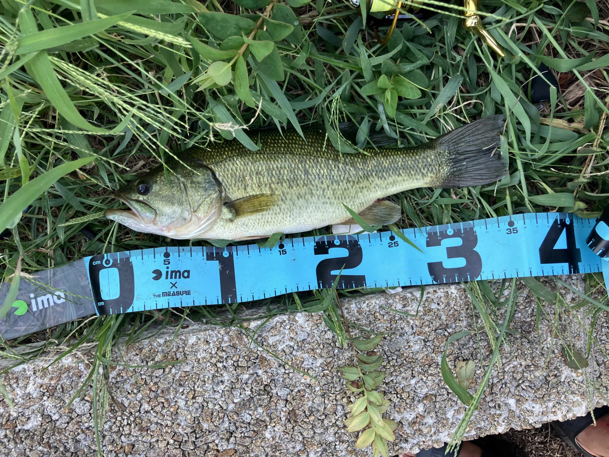 35cm