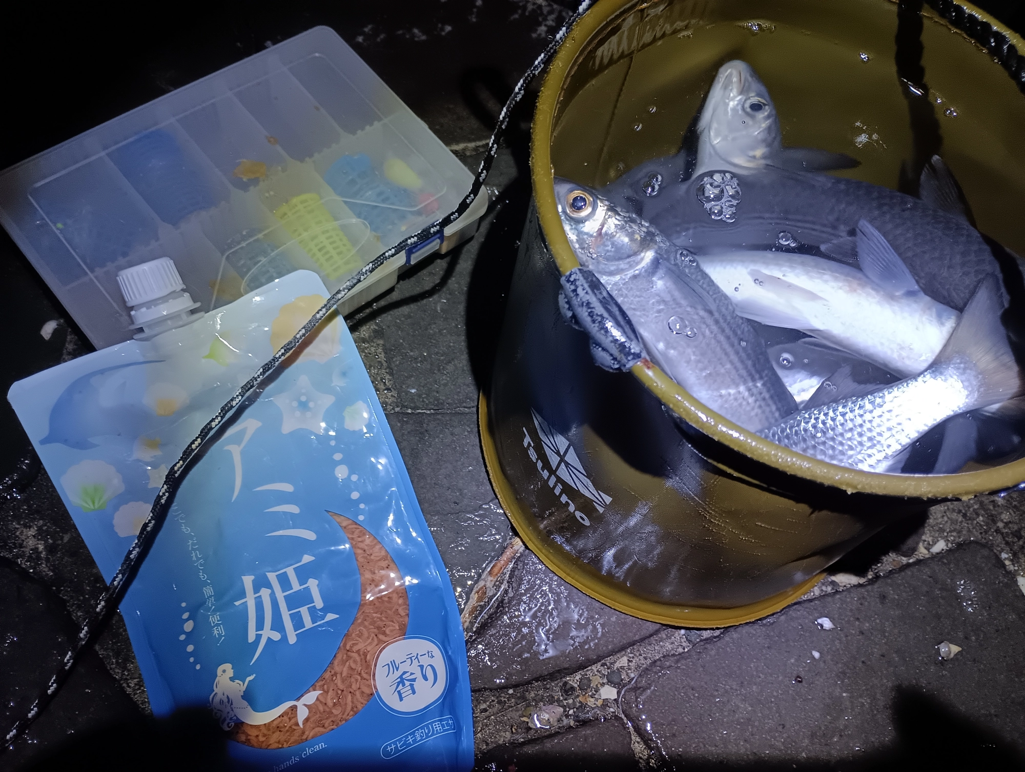 サビキング