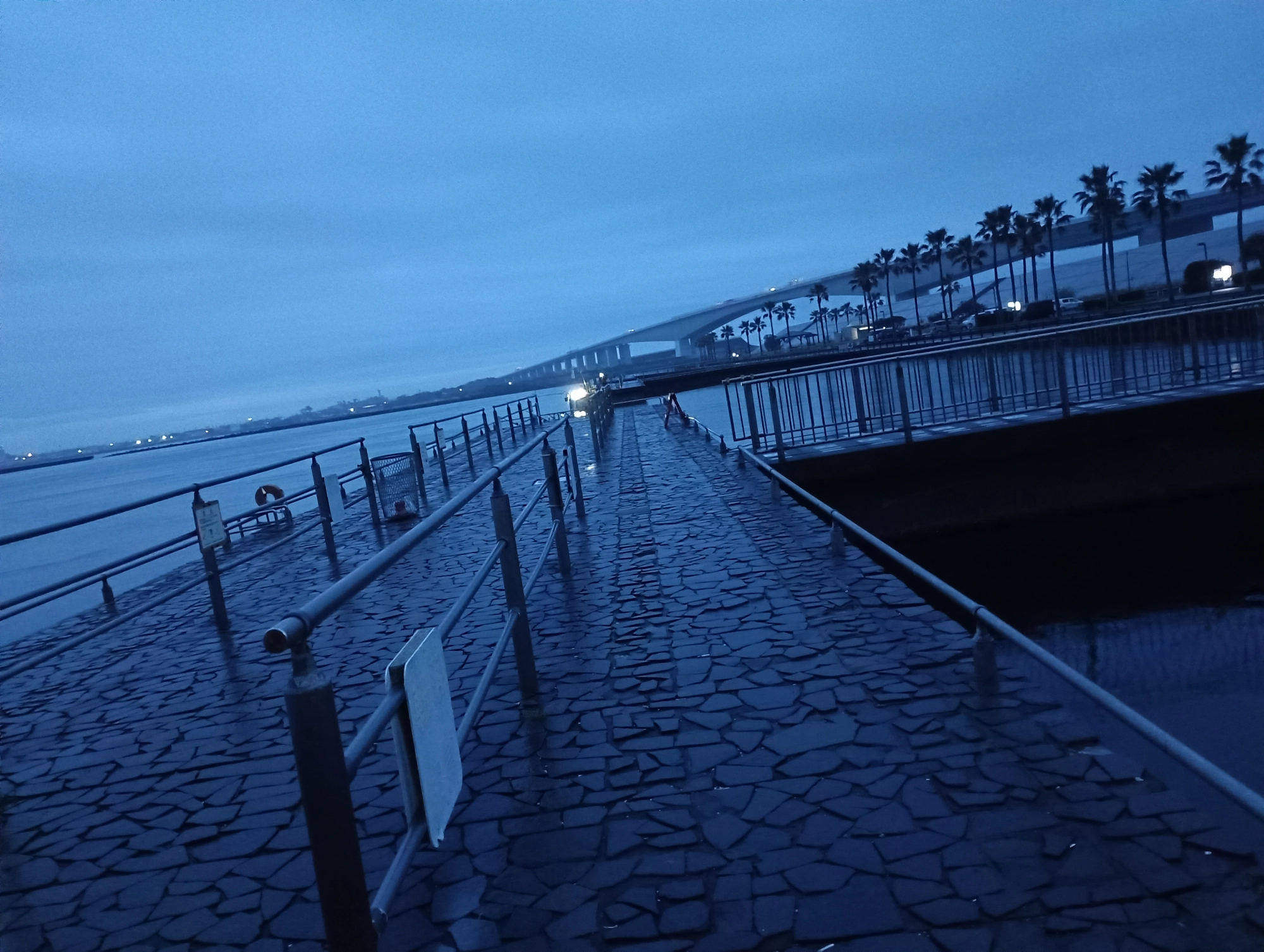 今日も雨