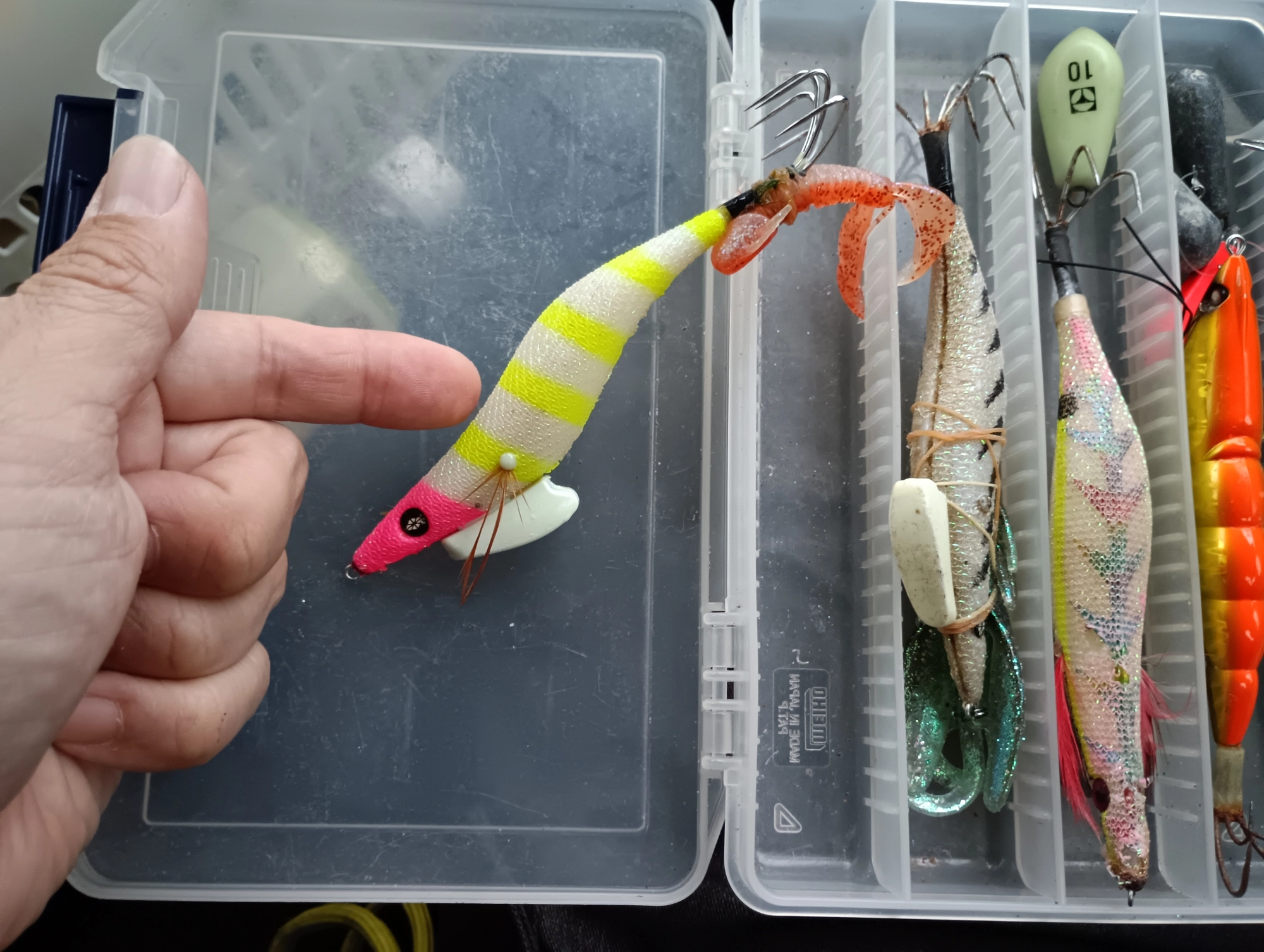タコ食べたい