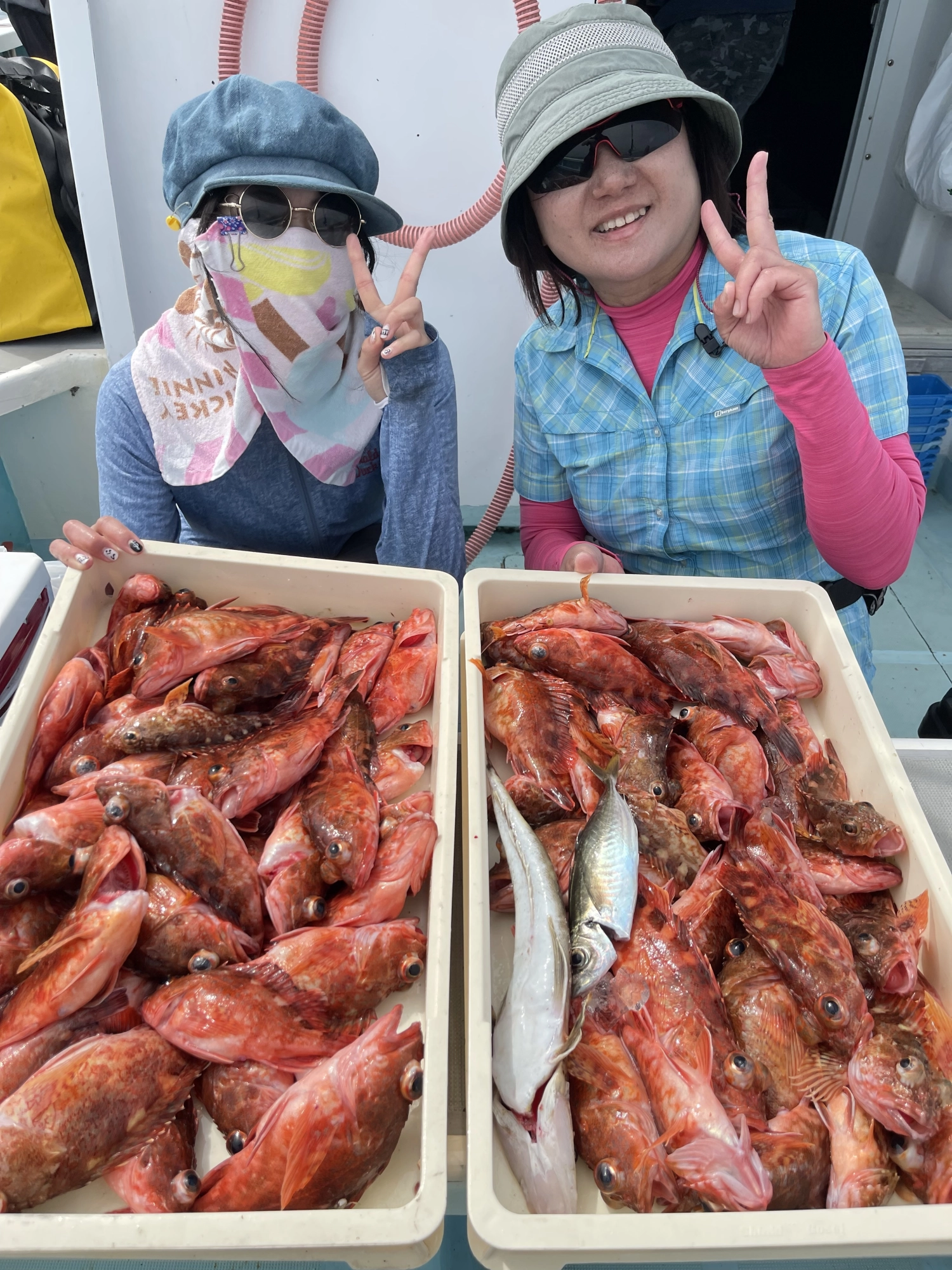 こちらの親子様はおふたりでデッカサゴ混じりの70匹Over狩りッψ(｀∇´)ψ
