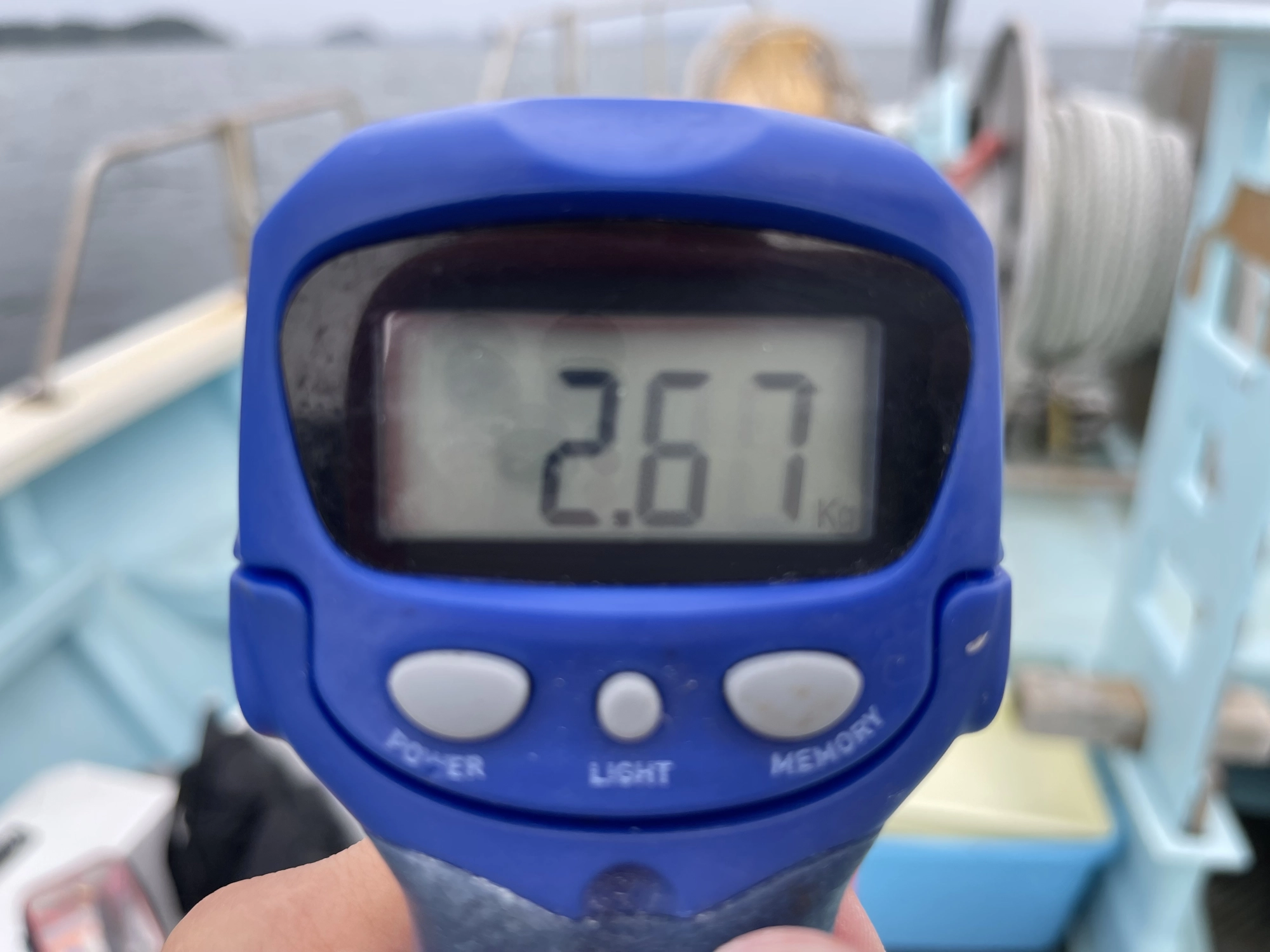 ❸㌔弱あれば かなりの食べ応え有りッ(о´∀`о)