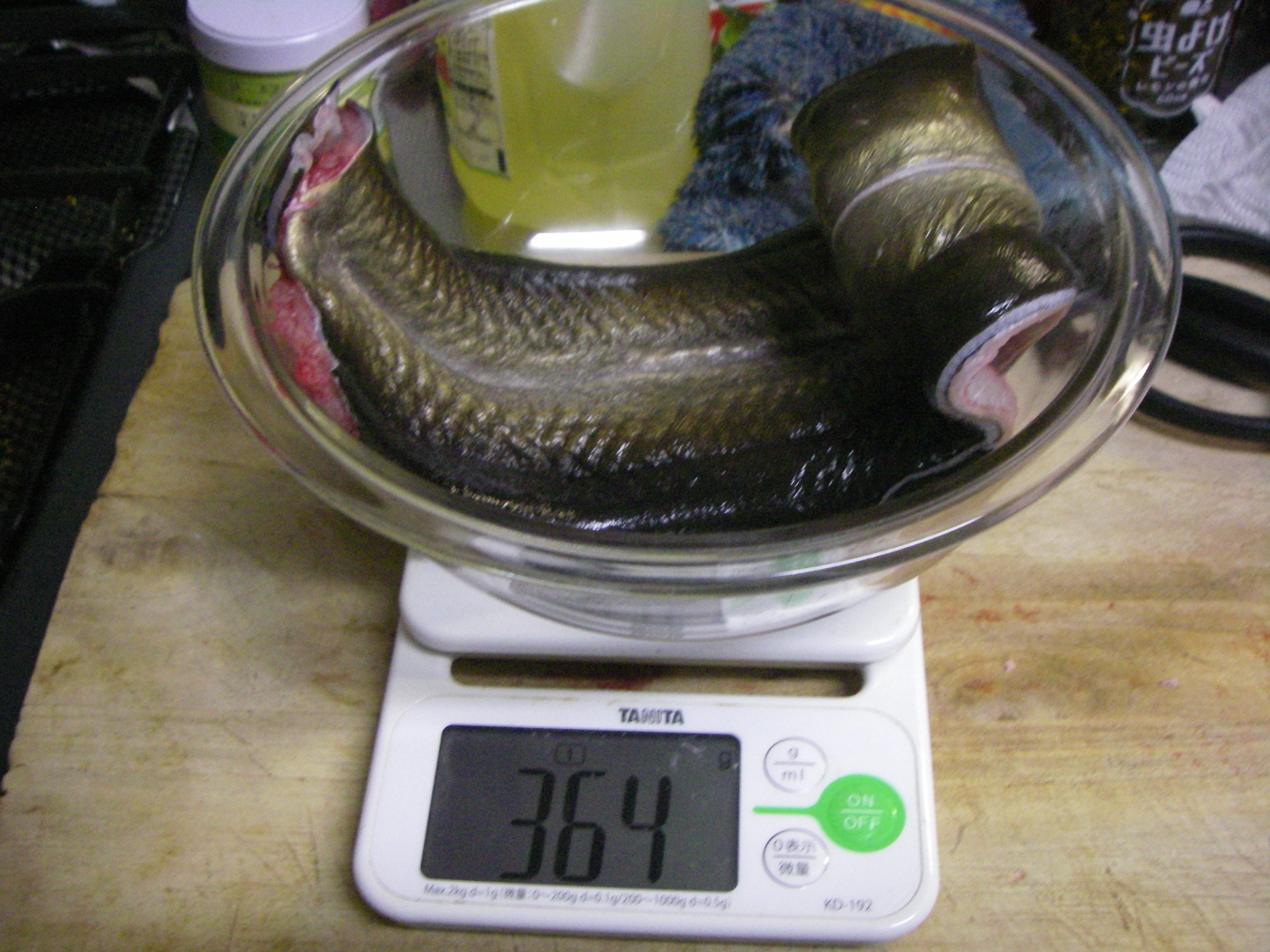 身にするとこれくらいの重さ青鰻は独特な色ですねえ