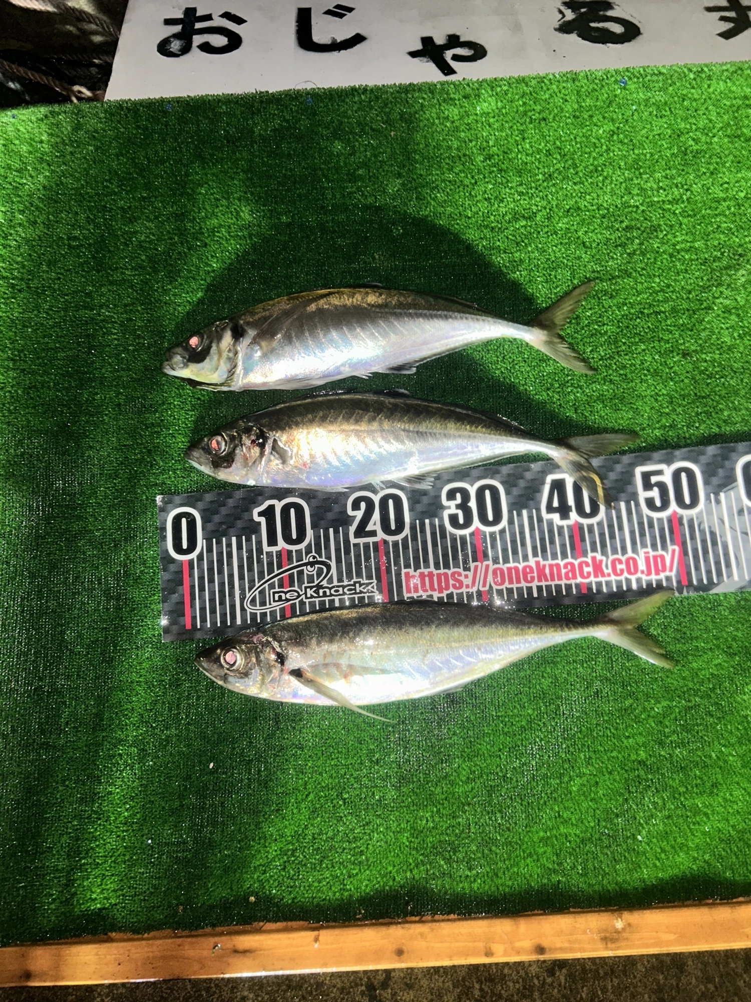 48.48,49センチ