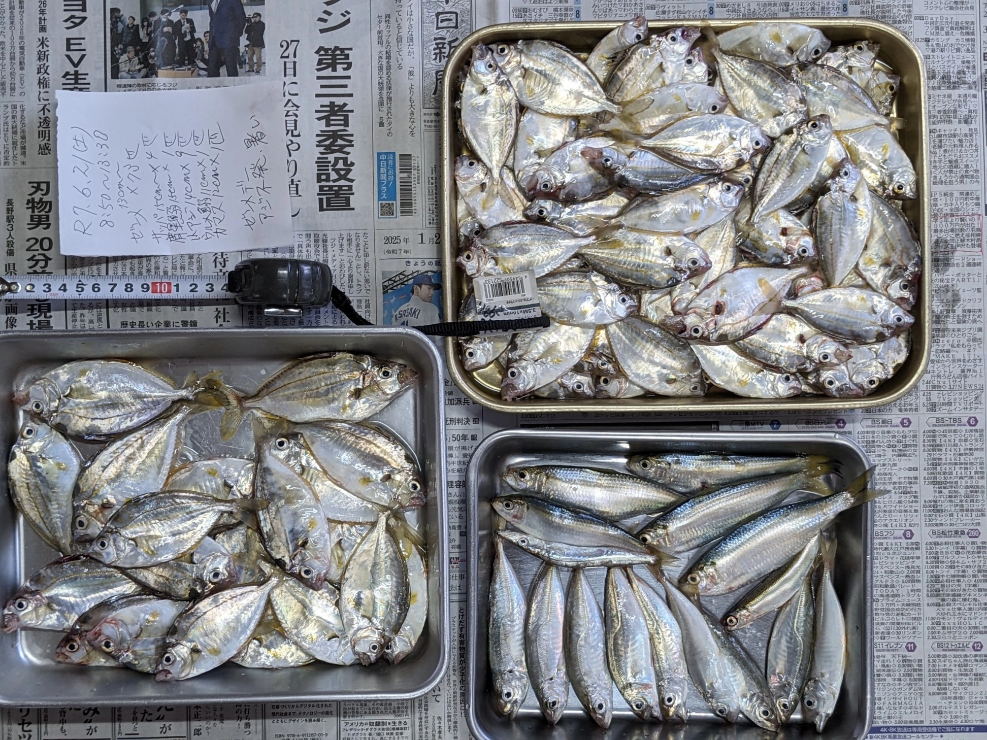 赤羽根港　暑い　　アジ不発は集まった全釣り人溜息